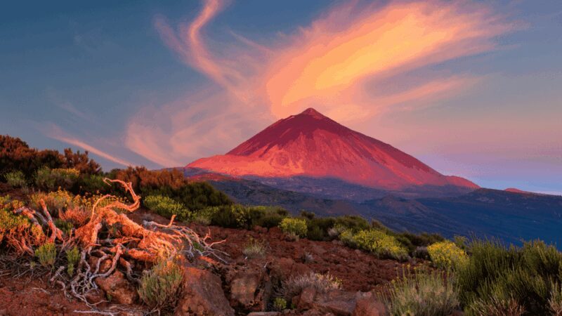 Teide National Park: Landscapes and Viewpoints Private Tour - Why Choose This Tour?