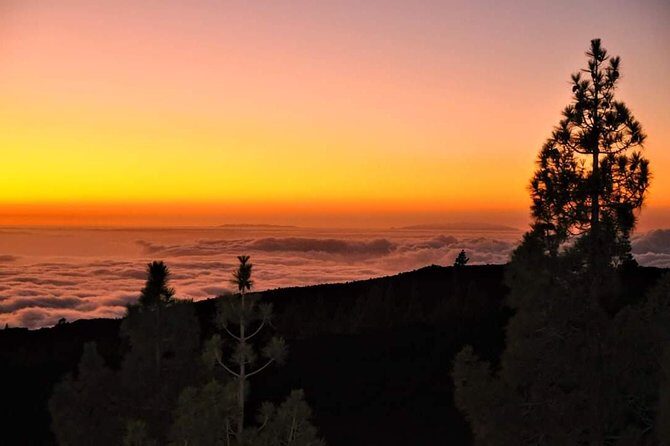 Teide National Park Sunset & Stargazing with Dinner (Star Safari) - FAQs