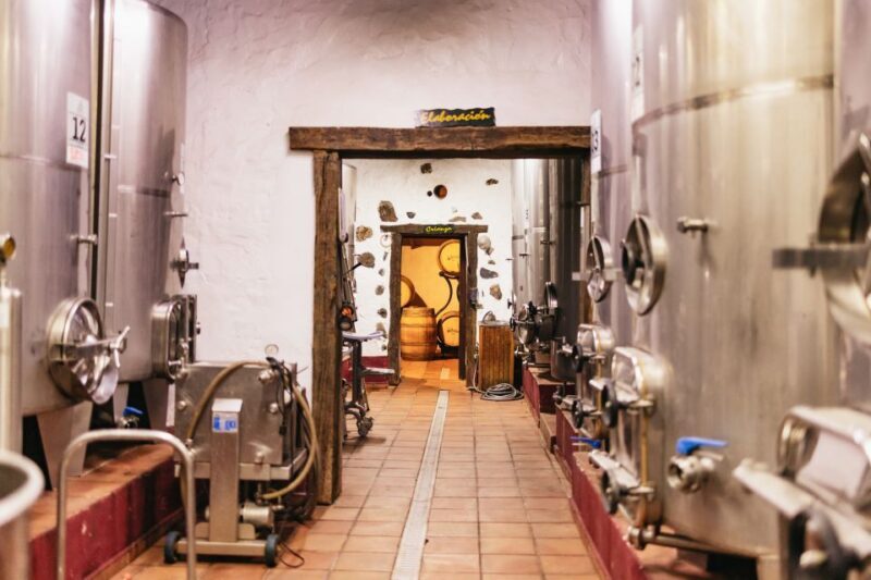 Teide Night Experience with Dinner and Stargazing - Key Points