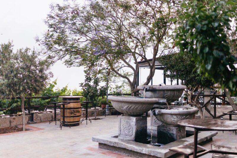 Teide Night Experience with Dinner and Stargazing - Practical Tips for a Great Experience