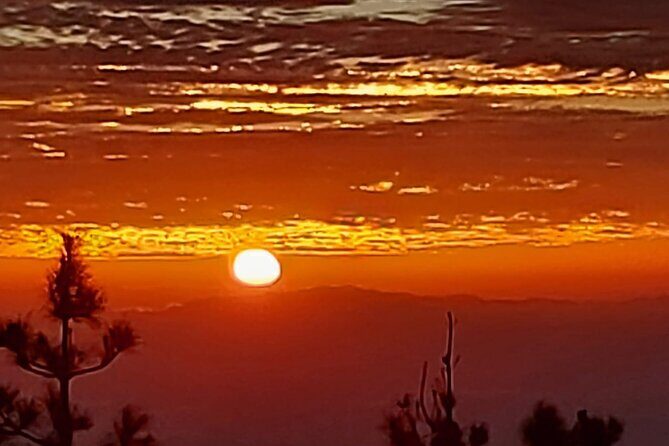 TEIDE NIGHT, Stargazing Bus Tour, Meal & Drinks included! - Final Thoughts: Is It Worth It?