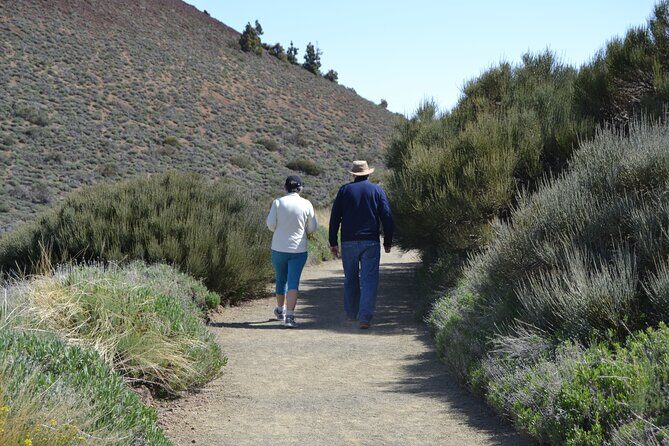 TEIDE: VIP tour - Who Should Consider This Tour?