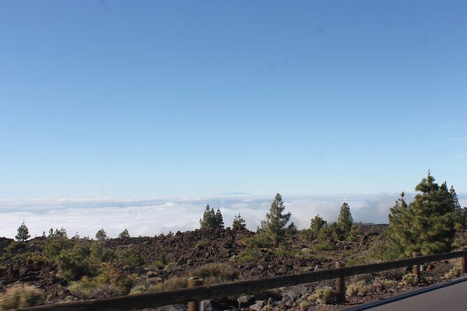 Teide Volcano National Park Quad Biking Tour - Who Is This Tour Best For?