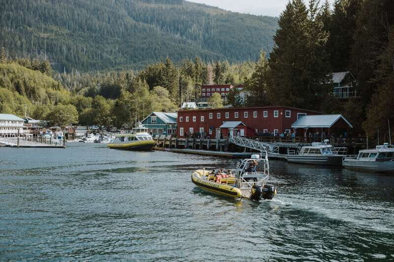 Telegraph Cove: 3-Hour Whale Watching Tour in a Zodiac Boat - Key Points