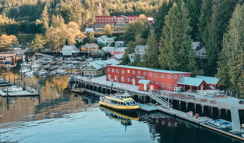 Telegraph Cove: 3-Hour Whale Watching Tour in a Zodiac Boat - An Honest Look at the Experience