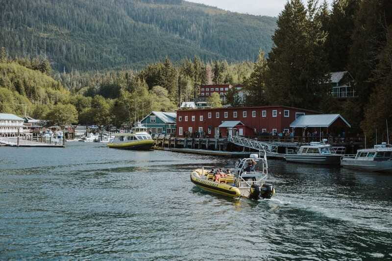 Telegraph Cove: 3-Hour Whale Watching Tour in a Zodiac Boat - Pricing and Value