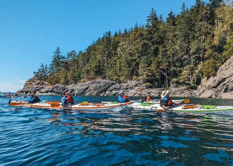 Telegraph Cove: Day Trip Kayaking Tour - Key Points