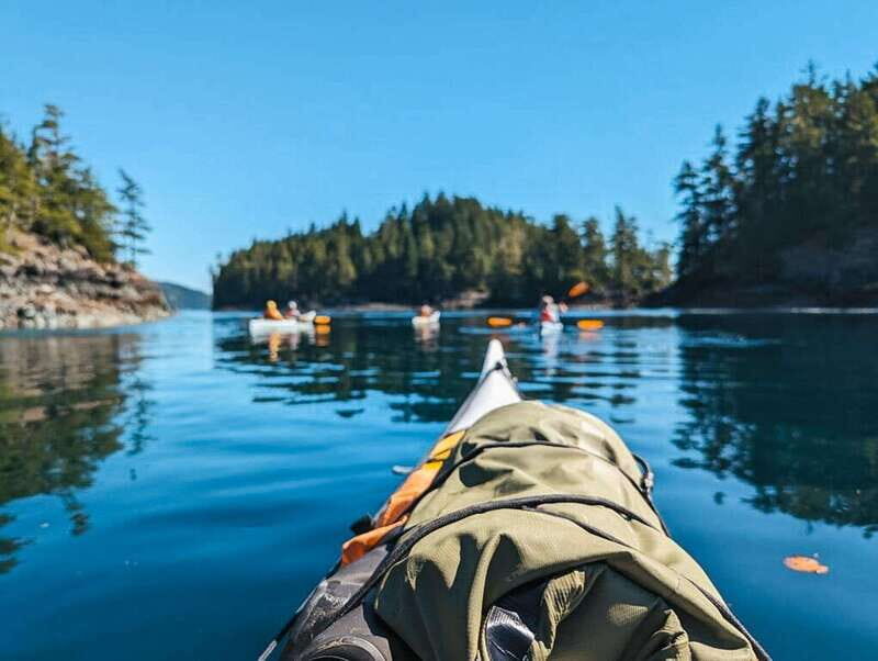 Telegraph Cove: Half-Day Kayaking Tour - The Itinerary: What to Expect