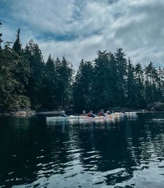 Telegraph Cove: Half-Day Kayaking Tour - Wildlife Encounters and Scenic Highlights