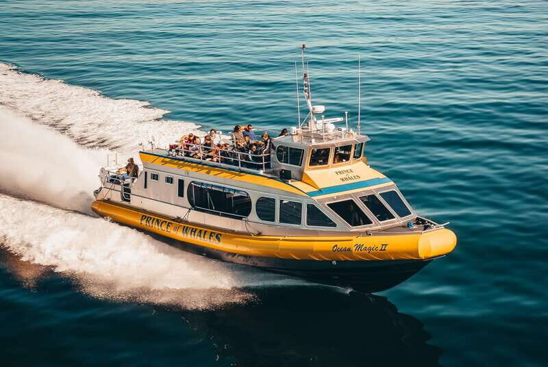 Telegraph Cove: Whale Watching Adventure with Free Photos - Key Points