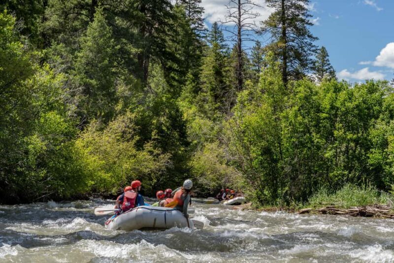 Telluride 1 Day Rafting Trip with Lunch - San Miguel River - Exploring the San Miguel River: What You Can Expect