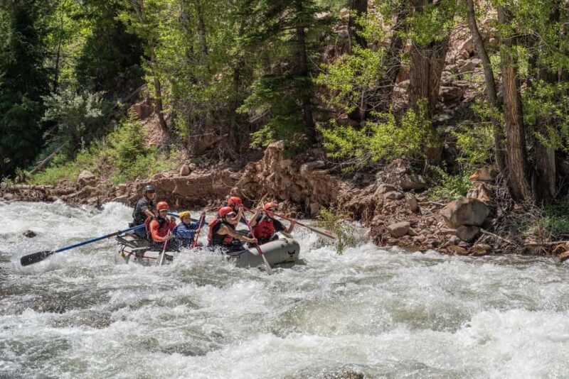 Telluride 1 Day Rafting Trip with Lunch - San Miguel River - Who Is This Trip Best For?