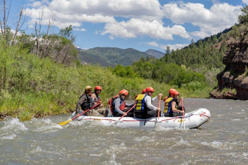 Telluride Afternoon Half Day Rafting Trip - San Miguel River - Authentic Feedback from Participants