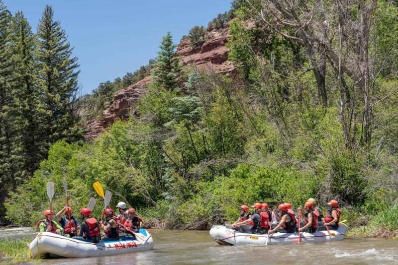 Telluride Afternoon Half Day Rafting Trip - San Miguel River - Why Youll Love the San Miguel River Trip
