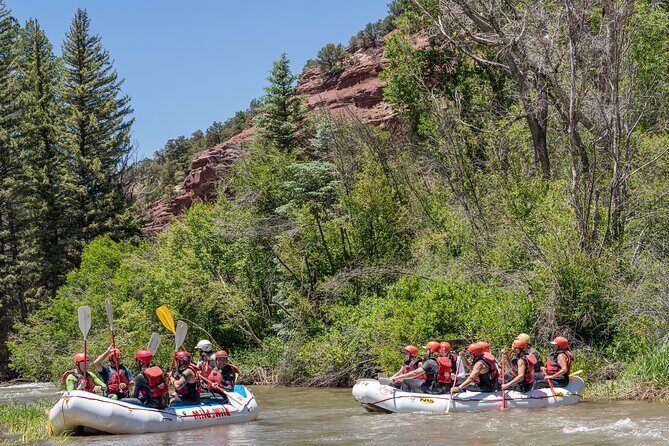 Telluride Afternoon Half Day Rafting Trip - San Miguel River - Key Points