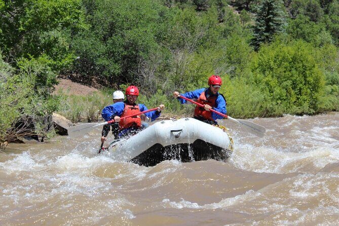 Telluride Afternoon Half Day Rafting Trip - San Miguel River - The Experience: What to Expect on the San Miguel River