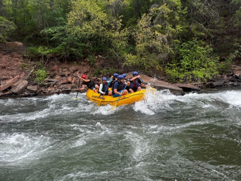 Telluride: Half-Day Rafting on the San Miguel River - Key Points