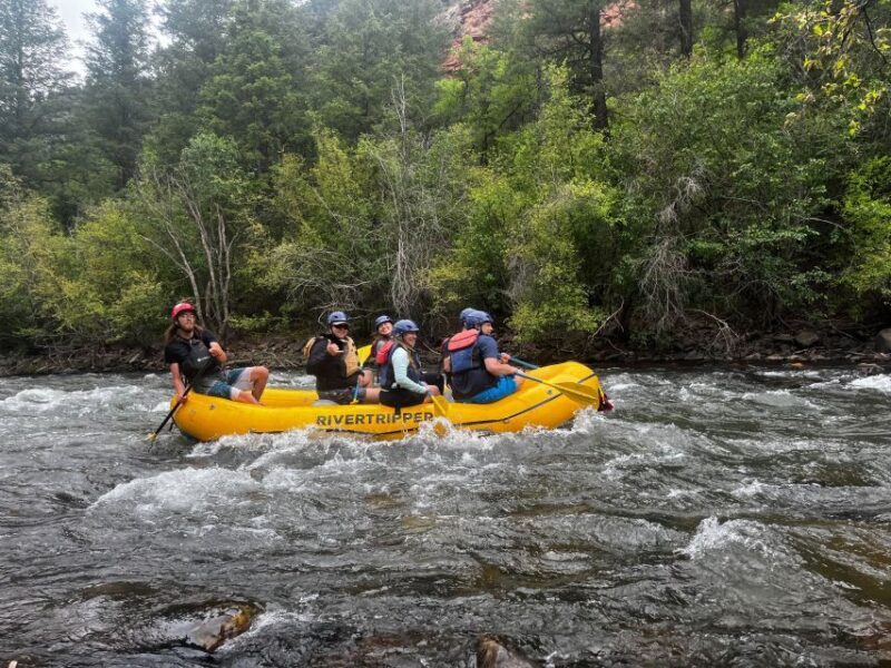 Telluride: Half-Day Rafting on the San Miguel River - The Experience: Pros and Cons