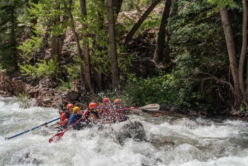 Telluride Morning Half Day Rafting Trip - San Miguel River - Is It Worth the Price?
