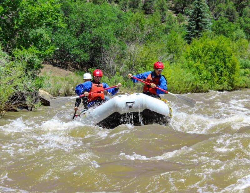 Telluride Morning Half Day Rafting Trip - San Miguel River - Final Thoughts