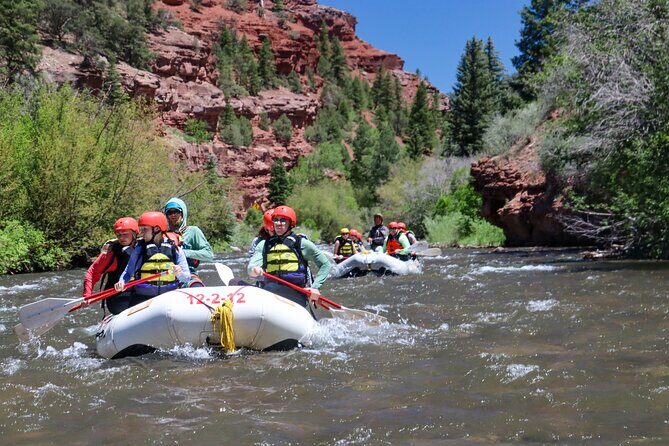 Telluride Morning Half Day Rafting Trip - San Miguel River - Key Points