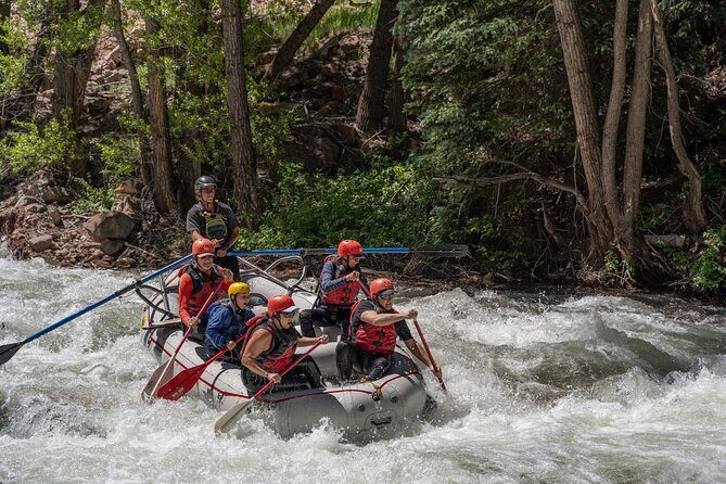 Telluride Morning Half Day Rafting Trip - San Miguel River - Who Is This Tour Best For?