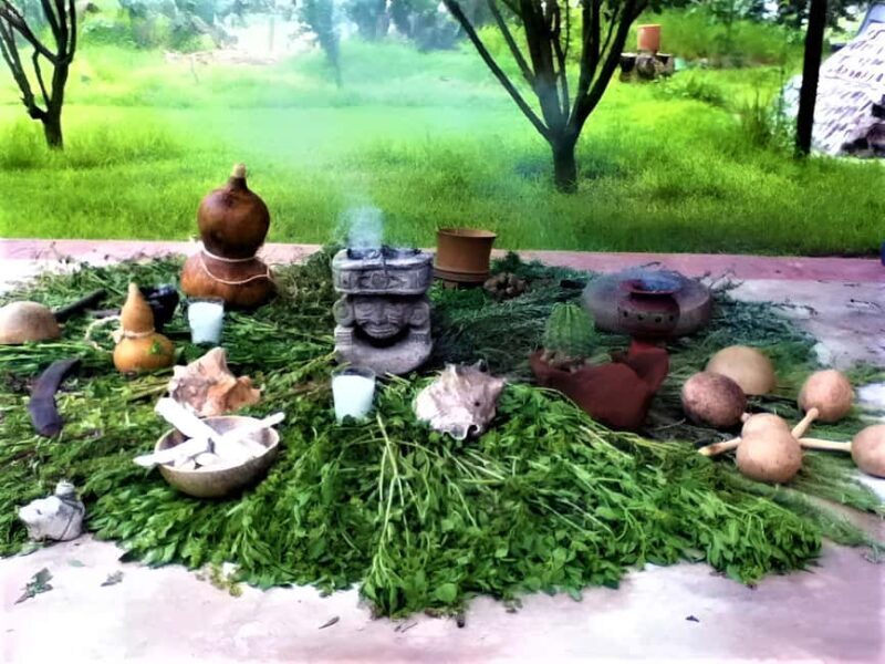 Temazcal Teotihuacan: Experience An Ancient Ceremony - The Temazcal Ceremony: An Ancient Cleansing Ritual