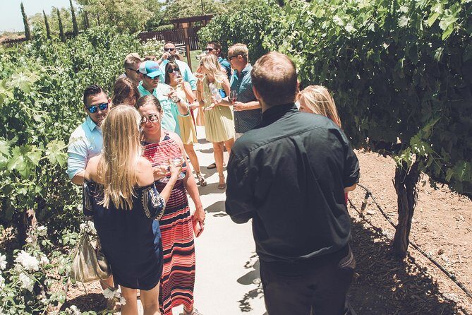 Temecula Valley Afternoon Wine Tour with Tastings and Cheeseboard - An Honest Look at the Temecula Valley Afternoon Wine Tour