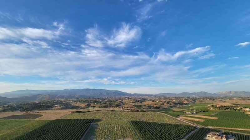 Temecula Valley: Sunrise Hot Air Balloon Ride with Champagne - Why This Experience Might Be Right for You