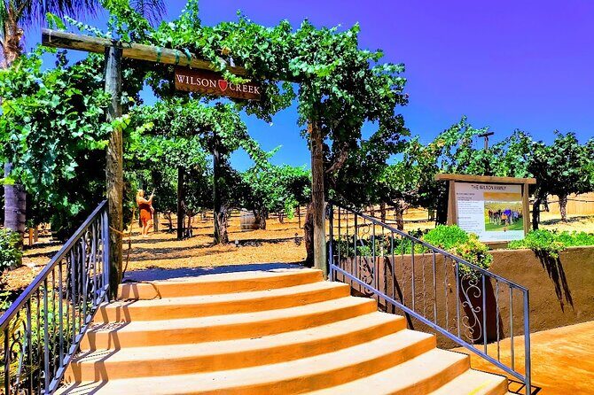 Temecula Wine Tour from Los Angeles - The Practical Side: What to Expect