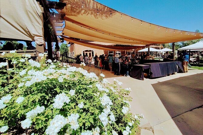 Temecula Wine Tour from Los Angeles - Who Should Consider This Tour?