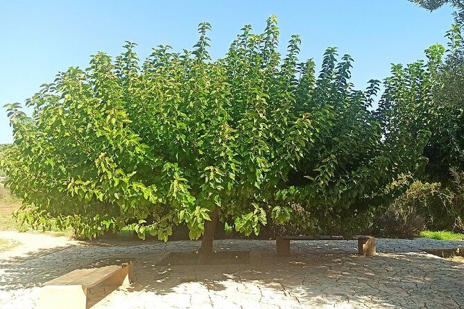 Temple of Artemis, Temple of Poseidon and Athens Riviera -Private - Final Thoughts