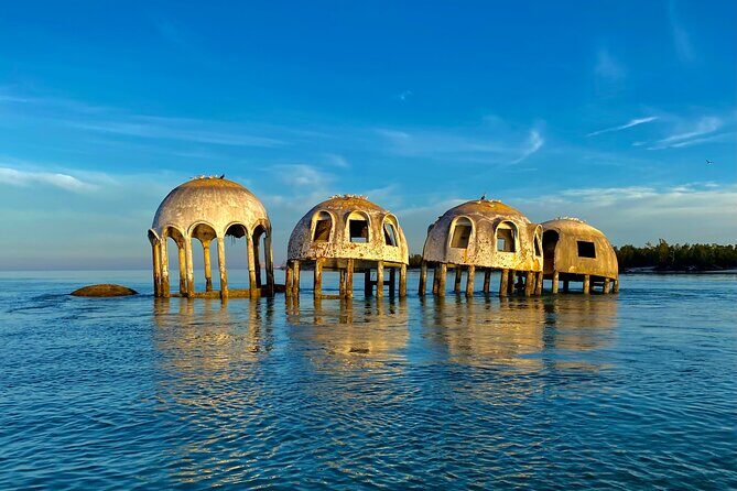 Ten Thousand Islands Eco/Dolphin Tour - Final Thoughts