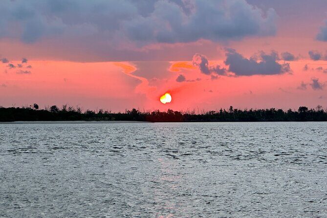 Ten Thousand Islands Sunset, Beach and Eco Tour - An In-Depth Look at the Tour Experience