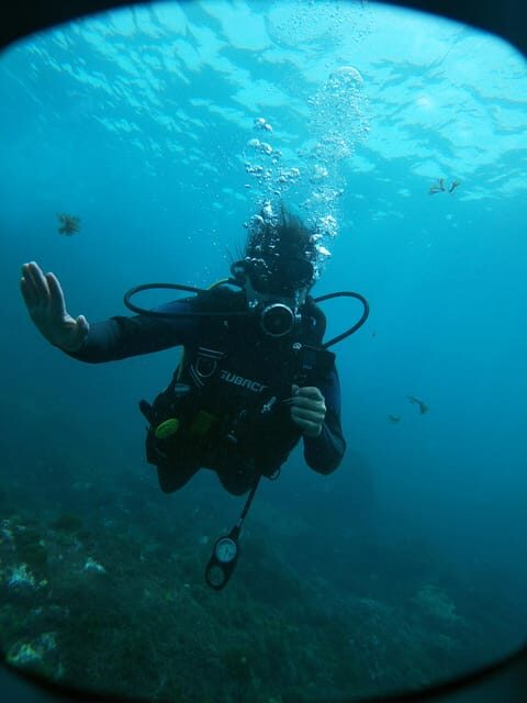 Tenerife - 2 Guided Dives for Certified Divers - Half Day - FAQ