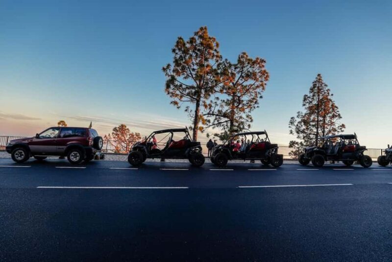 Tenerife: 3,5 Hours Buggy Tour from South Tenerife - Want more options?