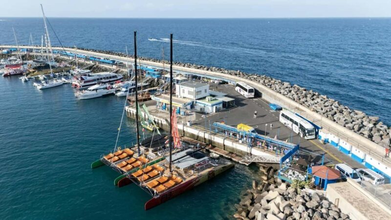 Tenerife: Adults-Only Whale & Dolphin Catamaran Cruise - Pricing and Value