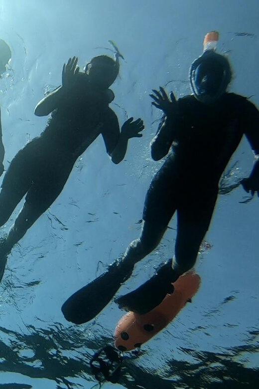 Tenerife: Alcalá Guided Snorkeling Tour - Final Thoughts: Is It Worth It?