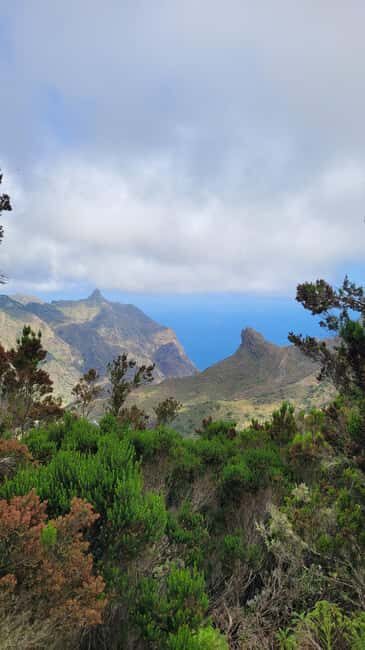 Tenerife Anaga Mountains: Circular hike through the Taganana Valley - small group max. 10 - The Value of This Tour