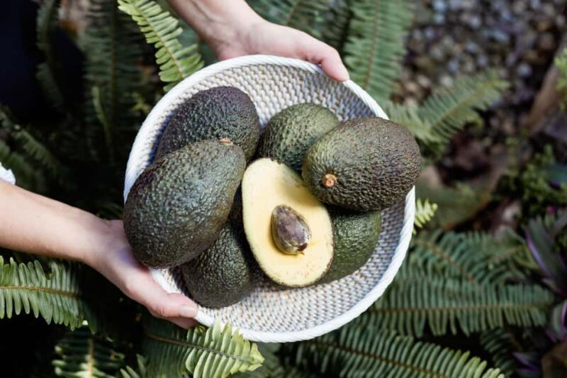 Tenerife: Avocado Farm Tour with Tasting Menu & Wine - Who Would Love This Tour?