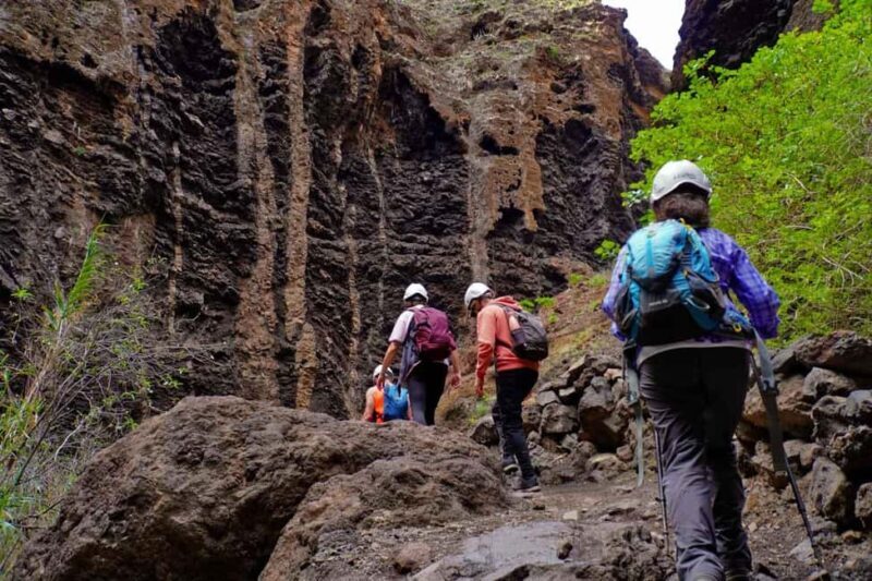 Tenerife Barranco de Masca: Guided hike + boat ride + transport - In-Depth Look at the Experience
