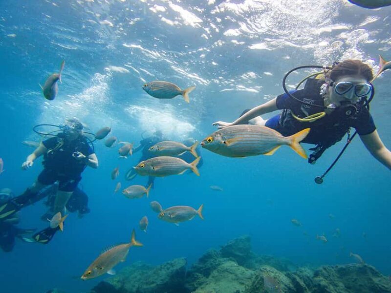 Tenerife: Beginner Scuba Dive Experience with Small Groups - Why This Experience Works