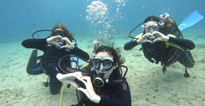 Tenerife: Beginner's Dive at a Spot with Turtle Sightings - Key Points