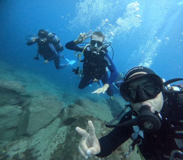 Tenerife: Beginner's Dive at a Spot with Turtle Sightings - What the Experience Looks Like — A Detailed Breakdown