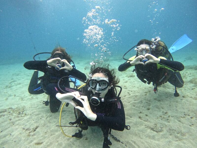 Tenerife: Beginner's Dive at a Spot with Turtle Sightings - Practical Details and Considerations