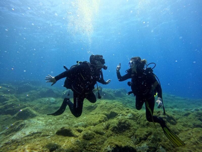 Tenerife: Beginner's Dive at a Spot with Turtle Sightings - Who Will Love This Experience?