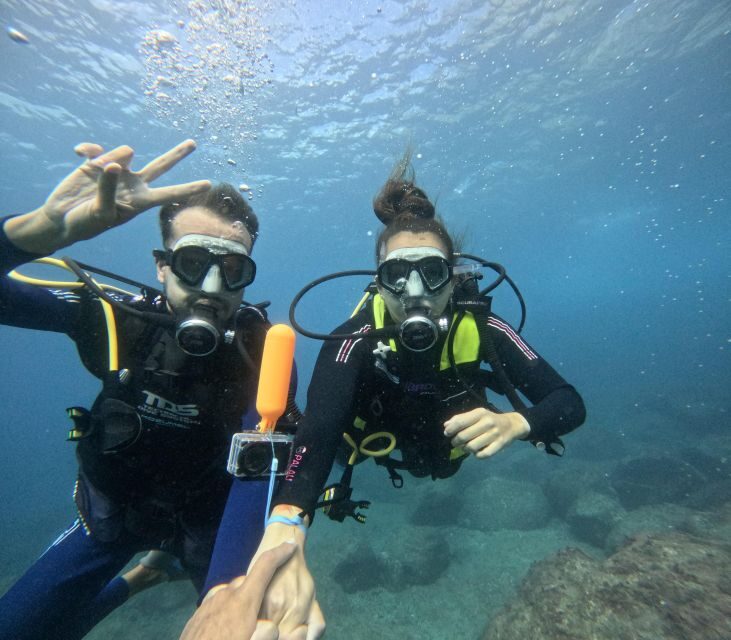 Tenerife: Beginner's Dive at a Spot with Turtle Sightings - Frequently Asked Questions