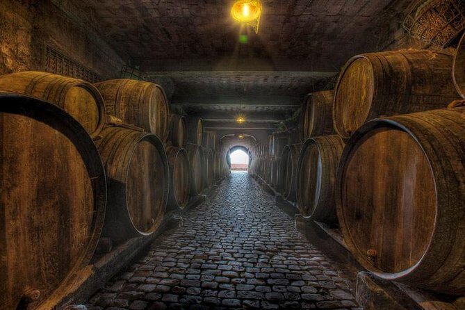 Tenerife Bodegas Monje Winery Tour with Wine and Cheese Tasting - An In-Depth Look at the Experience