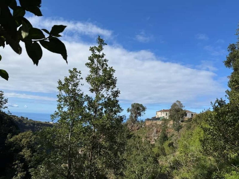 Tenerife: Canary History and Color Potatoes - Key Points