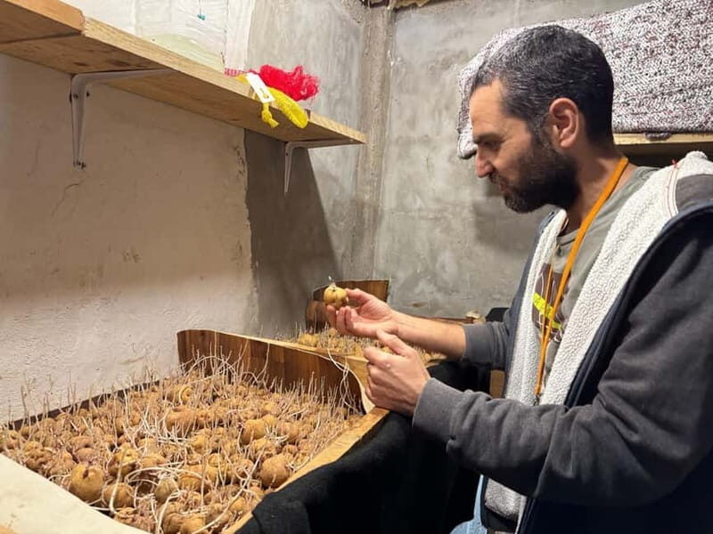 Tenerife: Canary History and Color Potatoes - What Makes This Tour Special?